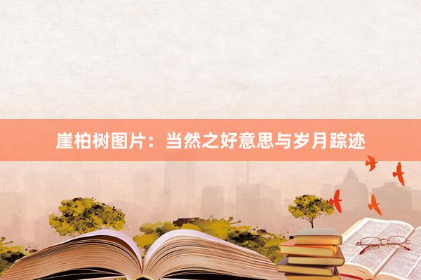 崖柏树图片:当然之好意思与岁月踪迹