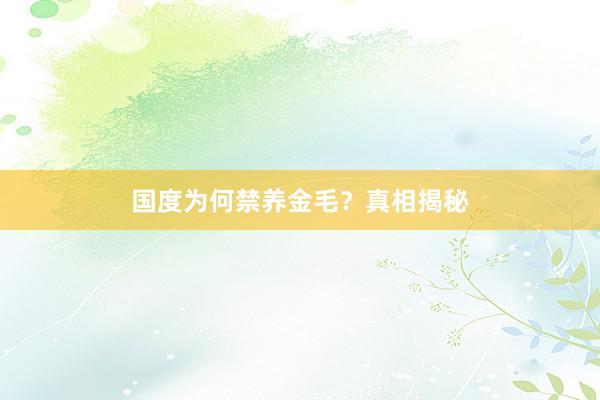 国度为何禁养金毛？真相揭秘